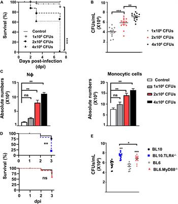 The TLR4-MyD88 Signaling Axis Regulates Lung Monocyte Differentiation Pathways in Response to Streptococcus pneumoniae